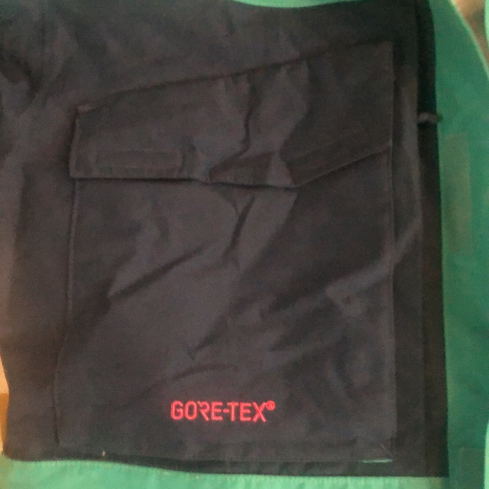 The north face fantasy ridge GTX Parka - Picture 4 of 11